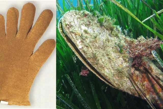 L'antica lavorazione del bisso: la "seta di mare" ricavata da un mollusco in via di estinzione 
